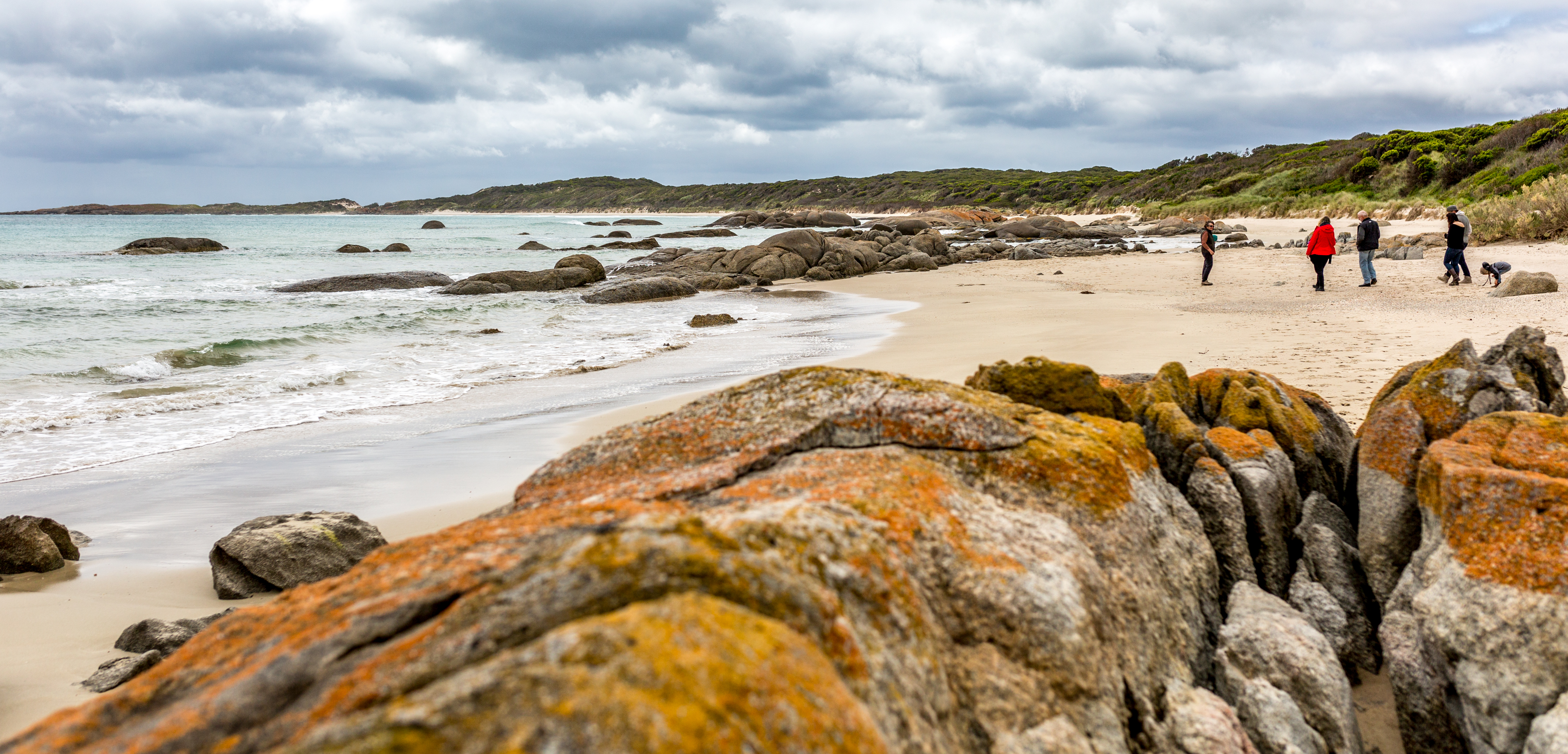 Sharp Airlines King Island Uncovered Packages